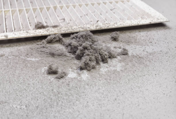Best Affordable HVAC Duct Cleaning  in Lanham, MD