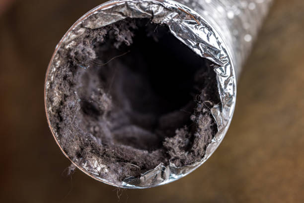 Best Air Duct Cleaning Near Me  in Lanham, MD